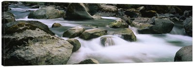 River flowing through rocksSkokomish River, Olympic National Park, Washington State, USA Canvas Art Print - Rock Art