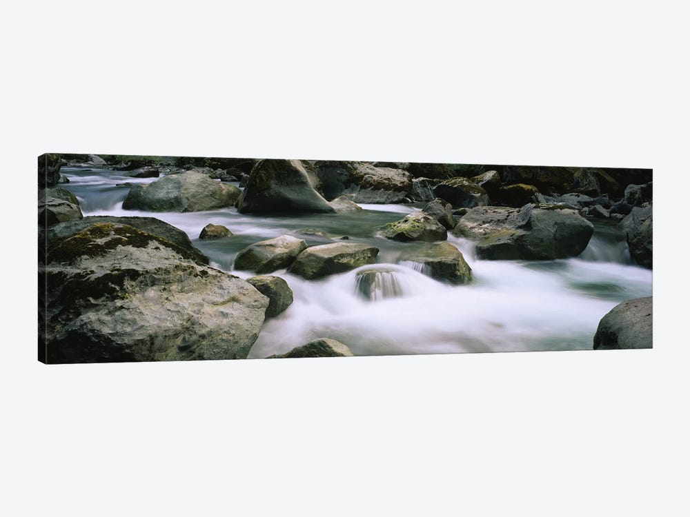 River flowing through rocksSkokomish River, Olympic National Park, Washington State, USA by Panoramic Images 1-piece Art Print