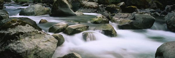 Olympic National Park: River flowing through rocksSkokomish River, Olympic National Park, Washington State, USA by Panoramic Images