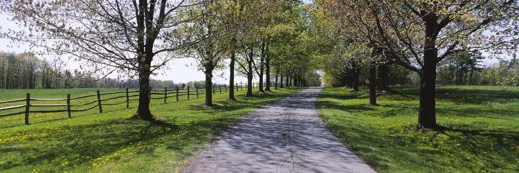 Road passing through a farm, Knox Farm State Park, East Aurora, New York State, USA