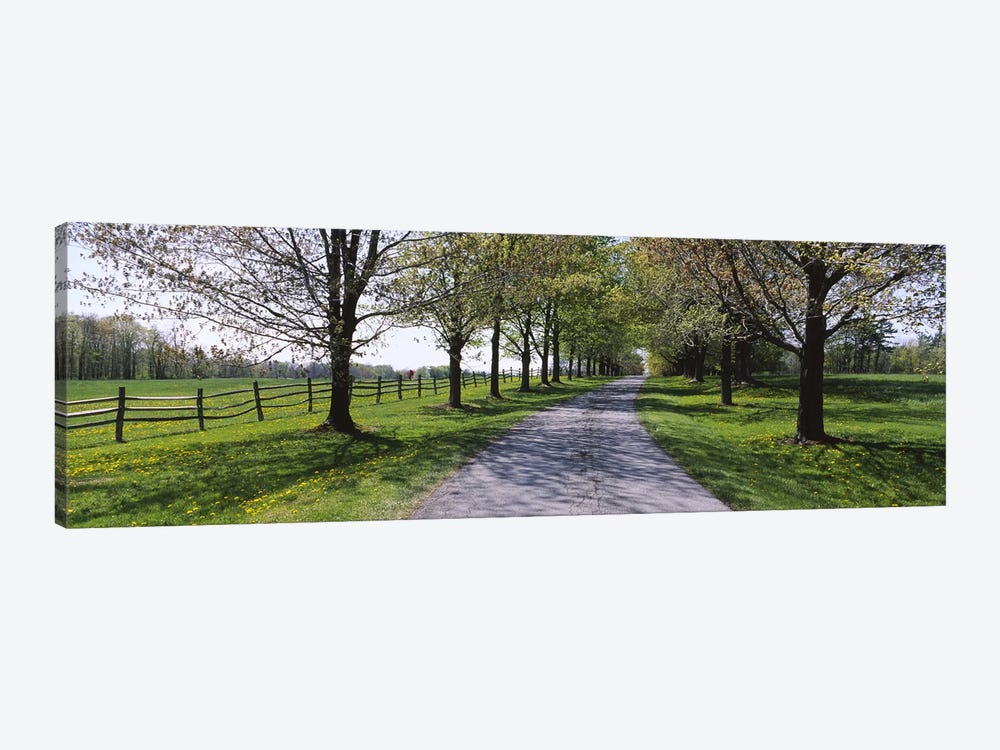 Road passing through a farm, Knox Farm State Park, East Aurora, New York State, USA by Panoramic Images 1-piece Canvas Art