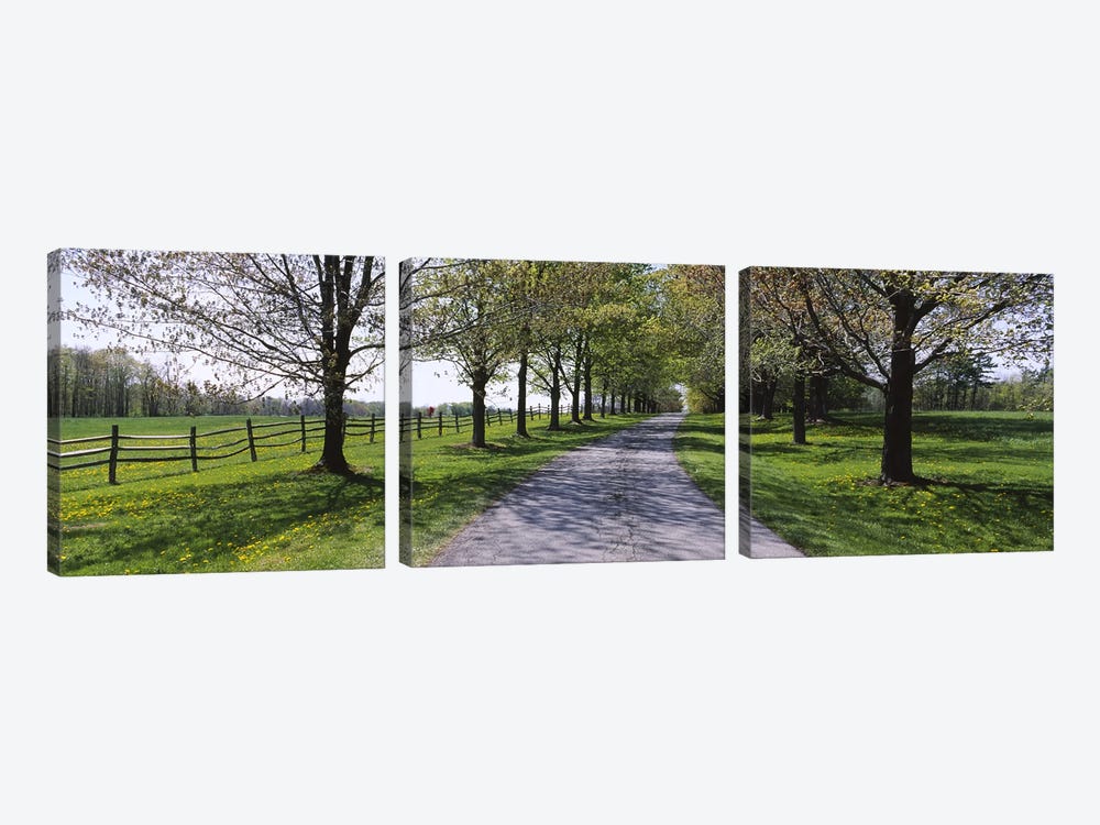Road passing through a farm, Knox Farm State Park, East Aurora, New York State, USA by Panoramic Images 3-piece Canvas Artwork