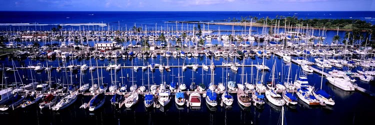 High angle view of boats in a row, Ala Wai, Honolulu, Hawaii, USA