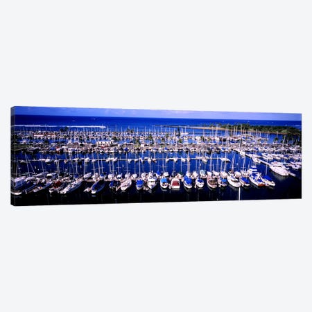 High angle view of boats in a row, Ala Wai, Honolulu, Hawaii, USA Canvas Print #PIM5786} by Panoramic Images Canvas Artwork