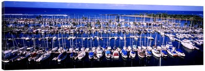 High angle view of boats in a row, Ala Wai, Honolulu, Hawaii, USA Canvas Art Print