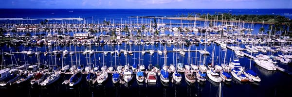 High angle view of boats in a row, Ala Wai, Honolulu, Hawaii, USA