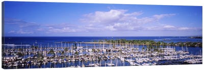 High angle view of boats in a row, Ala Wai, Honolulu, Hawaii, USA #2 Canvas Art Print - Hawaii Art