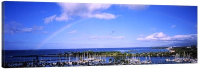 High angle view of boats, Ala Wai, Honolulu, Hawaii, USA #3 Canvas Art Print - Harbor & Port Art