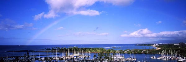 Honolulu: High angle view of boats, Ala Wai, Honolulu, Hawaii, USA #3 by Panoramic Images