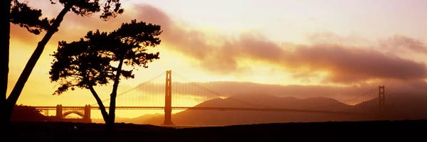 Golden Gate Bridge: Silhouette of trees at sunset, Golden Gate Bridge, San Francisco, California, USA by Panoramic Images