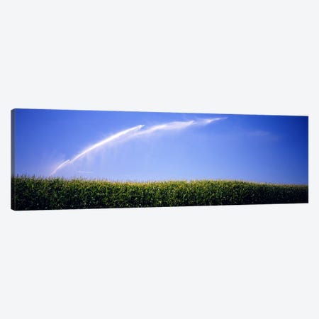 Water being sprayed on a corn field, Washington State, USA Canvas Print #PIM5797} by Panoramic Images Art Print