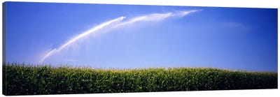Water being sprayed on a corn field, Washington State, USA Canvas Art Print - Country Scenic Photography