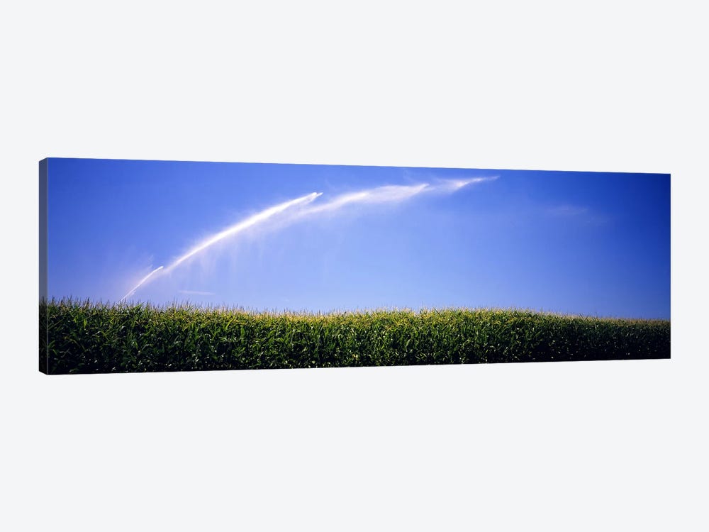 Water being sprayed on a corn field, Washington State, USA by Panoramic Images 1-piece Art Print