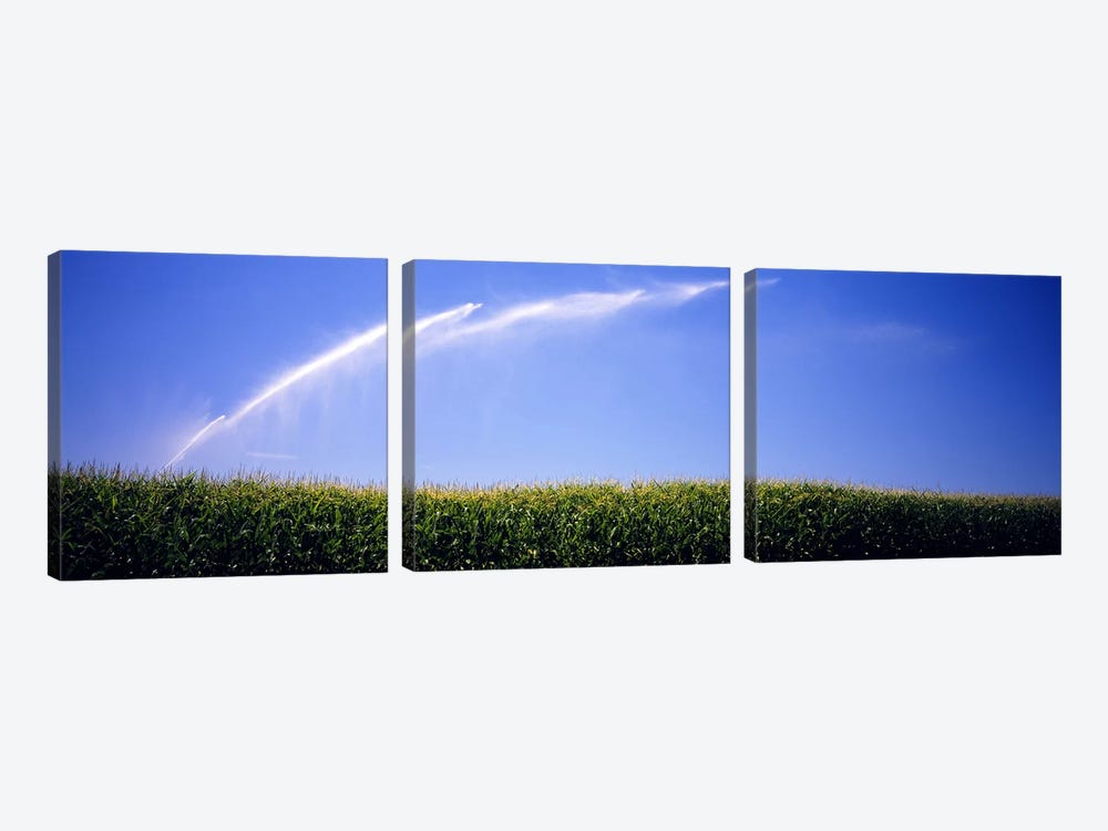 Water being sprayed on a corn field, Washington State, USA by Panoramic Images 3-piece Canvas Print