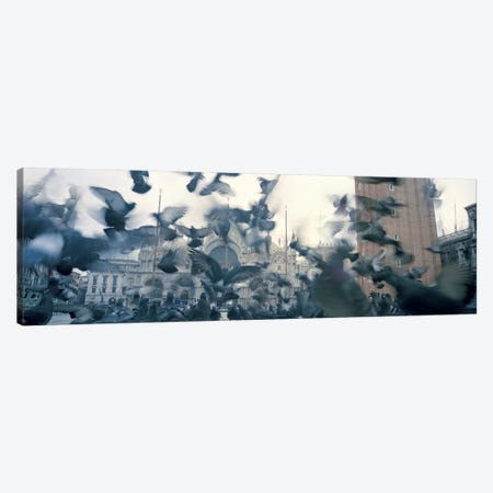 Low angle view of a flock of pigeons, St. Mark's Square, Venice, Italy Canvas Print #PIM5819} by Panoramic Images Art Print