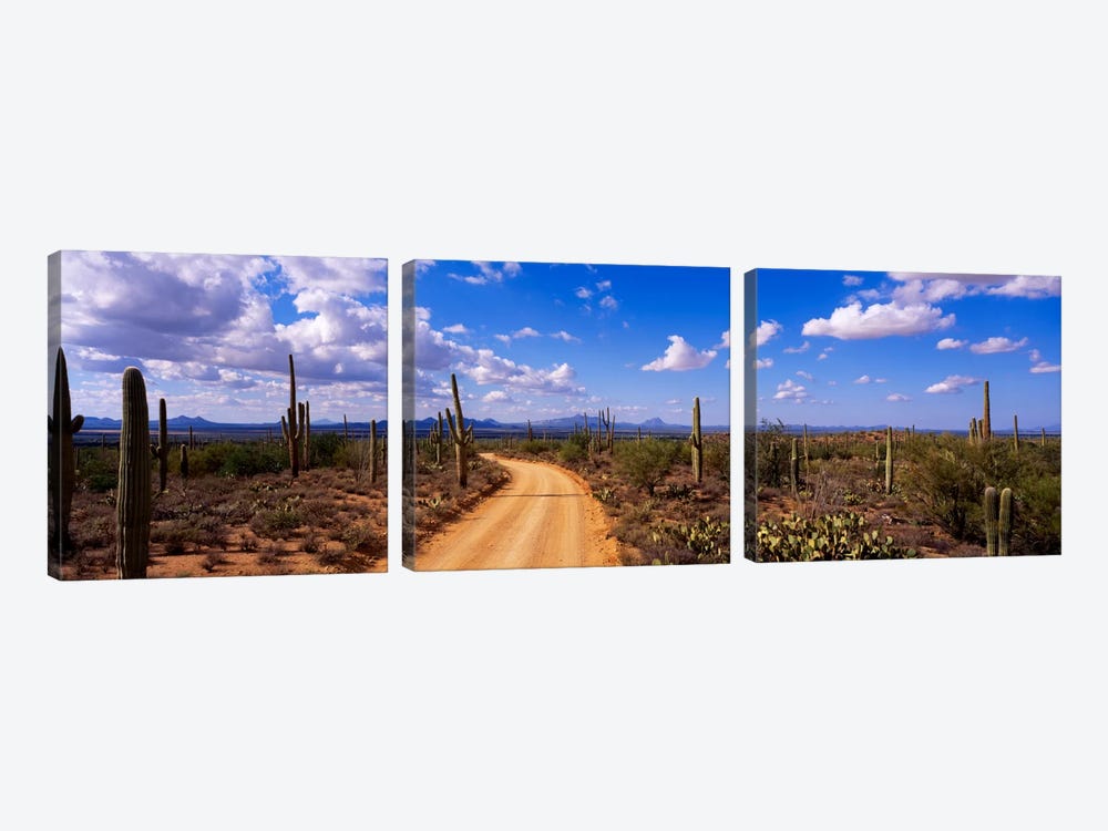 RoadSaguaro National Park, Arizona, USA by Panoramic Images 3-piece Canvas Artwork