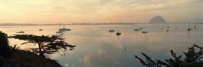 Distant View Of Morro Rock, San Luis Obispo, California, USA by Panoramic Images canvas print