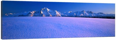 Pioneer Pk Chugach Mts AK USA Canvas Art Print - Snowy Mountain Art