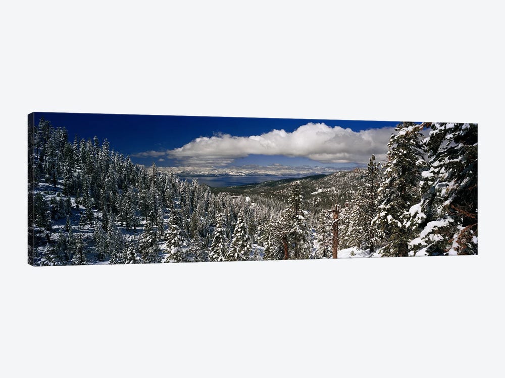 Wintry Alpine Forest Landscape, Lake Tahoe, Sierra Nevada by Panoramic Images 1-piece Canvas Print