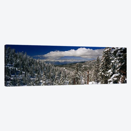 Wintry Alpine Forest Landscape, Lake Tahoe, Sierra Nevada Canvas Print #PIM5862} by Panoramic Images Canvas Wall Art