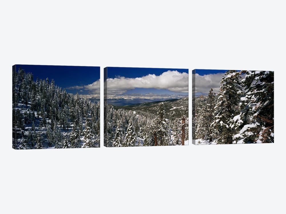 Wintry Alpine Forest Landscape, Lake Tahoe, Sierra Nevada by Panoramic Images 3-piece Art Print