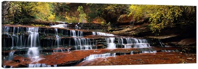 Waterfall in a forest, North Creek, Zion National Park, Utah, USA Canvas Art Print - Zion National Park Art