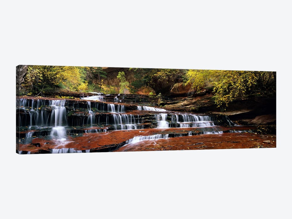 Waterfall in a forest, North Creek, Zion National Park, Utah, USA by Panoramic Images 1-piece Canvas Print