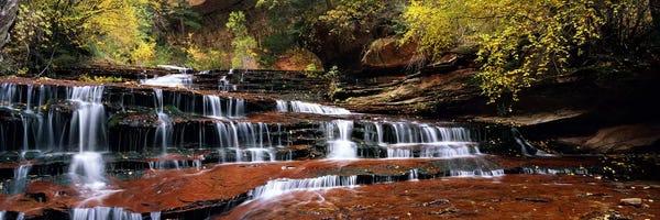Utah: Waterfall in a forest, North Creek, Zion National Park, Utah, USA by Panoramic Images