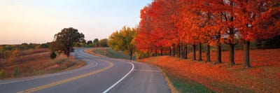 Canvas Print: Fall Road IL by Panoramic Images - thumbnail