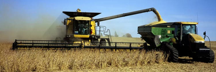 A Combine Harvesting A Soybean Crop, Minnesota, USA