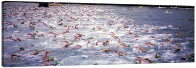 Triathlon athletes swimming in water in a race, Ironman, Kailua Kona, Hawaii, USA Canvas Art Print - Group Art