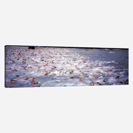 Triathlon athletes swimming in water in a race, Ironman, Kailua Kona, Hawaii, USA Canvas Print #PIM5875} by Panoramic Images Canvas Artwork