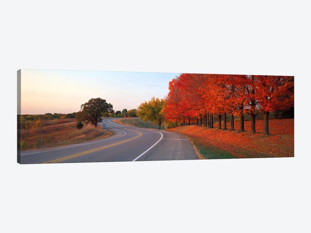 Fall Road IL by Panoramic Images 1-piece Canvas Art Print