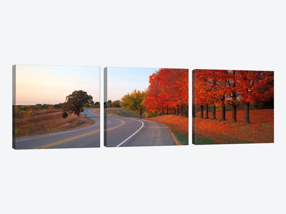 Fall Road IL by Panoramic Images 3-piece Canvas Art Print