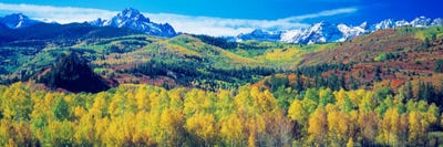 Mountain Landscape, San Juan Mountains, Colorado, USA by Panoramic Images acrylic art print