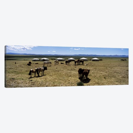 Group of horses and yurts in a field, Independent Mongolia Canvas Print #PIM5887} by Panoramic Images Canvas Art Print