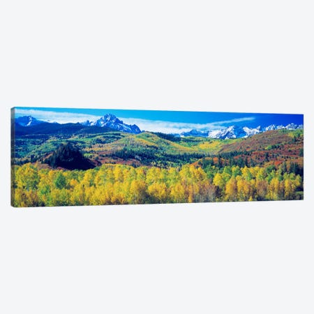 Mountain Landscape, San Juan Mountains, Colorado, USA Canvas Print #PIM588} by Panoramic Images Art Print