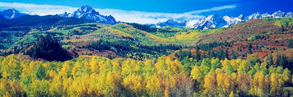 Fields, Grasslands & Meadows: Mountain Landscape, San Juan Mountains, Colorado, USA by Panoramic Images