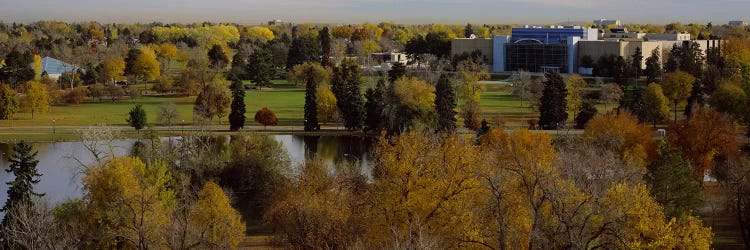 High angle view of trees, Denver, Colorado, USA