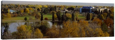 High angle view of trees, Denver, Colorado, USA Canvas Art Print - Colorado Art