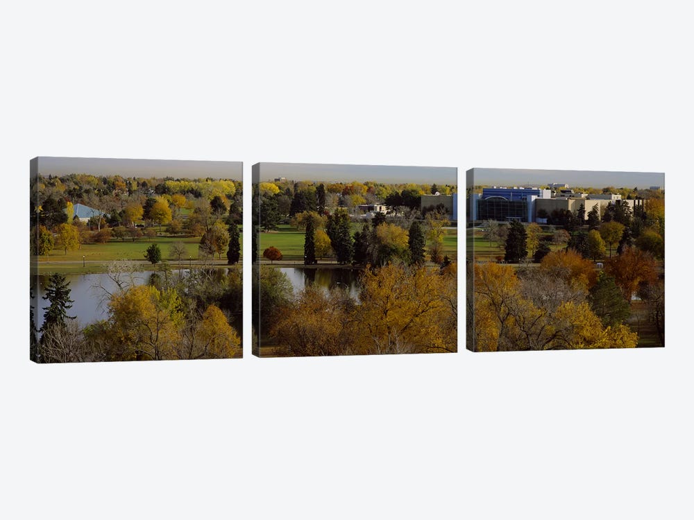 High angle view of trees, Denver, Colorado, USA by Panoramic Images 3-piece Art Print