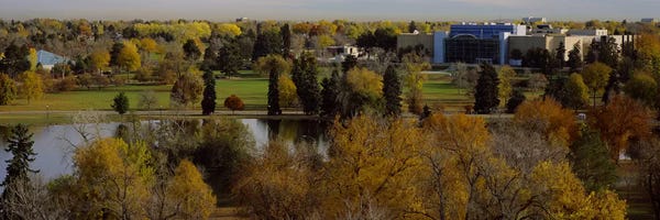 Colorado: High angle view of trees, Denver, Colorado, USA by Panoramic Images