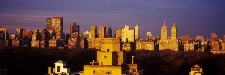 High angle view of a cityscape, Central Park, Manhattan, New York City, New York State, USA #2 by Panoramic Images wall art