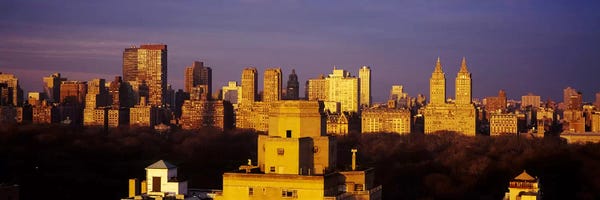 New York City Skylines: High angle view of a cityscape, Central Park, Manhattan, New York City, New York State, USA #2 by Panoramic Images