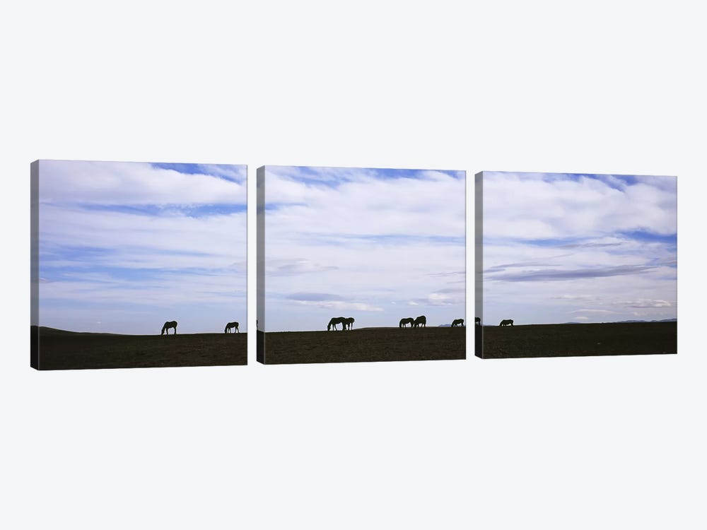 Silhouette of horses in a fieldMontana, USA by Panoramic Images 3-piece Canvas Art