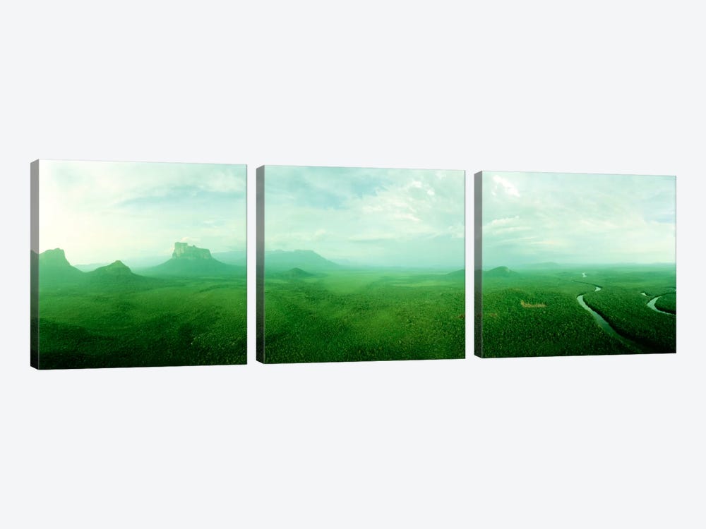 Misty Rainforest Landscape, Amazonas State, Venezuela by Panoramic Images 3-piece Canvas Print