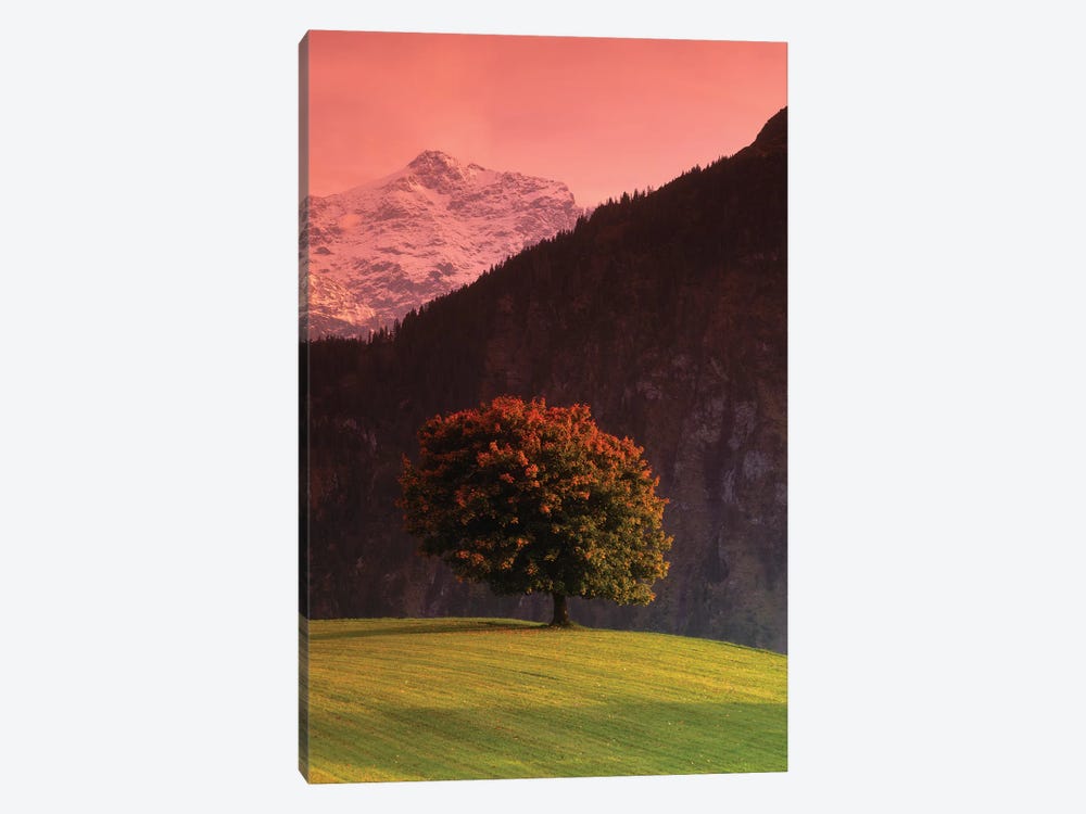 Lone Mountainside Tree, Swiss Alps, Switzerland by Panoramic Images 1-piece Canvas Print
