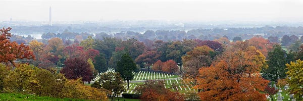 High angle view of a cemetery, Arlington National Cemetery, Washington DC, USA