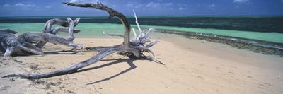 Great Barrier Reef