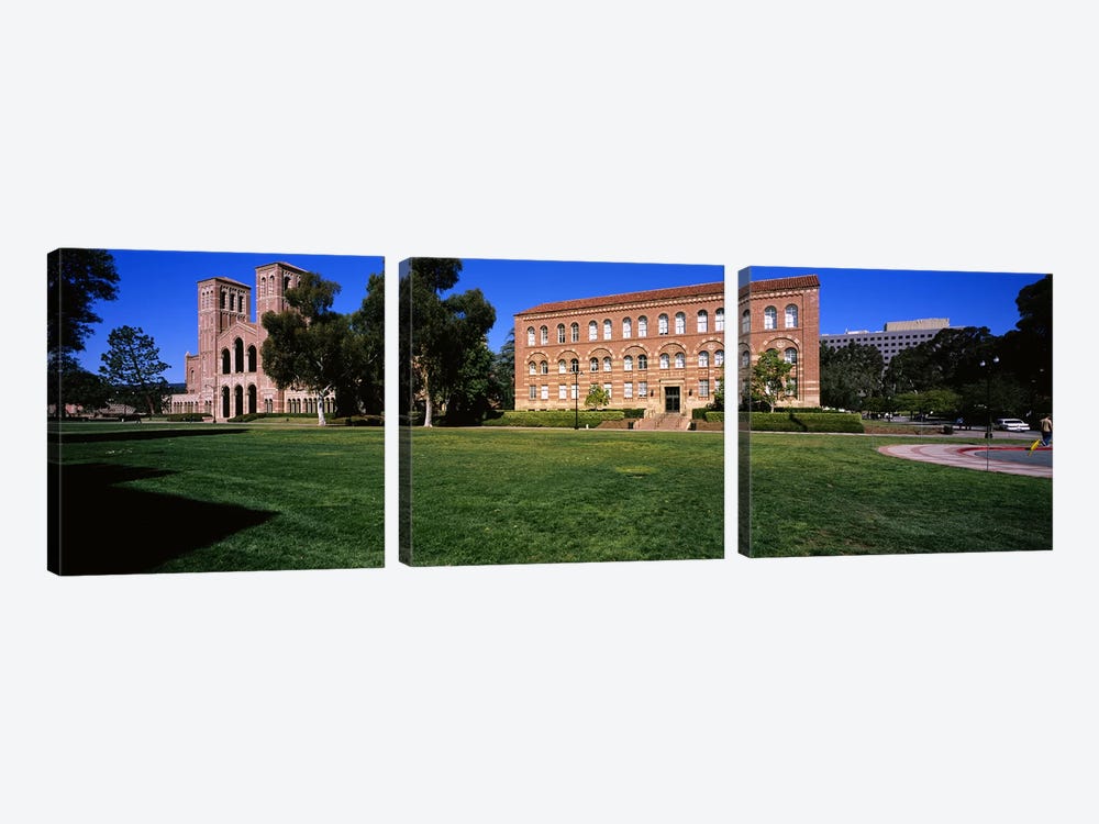 Lawn in front of a Royce Hall and Haines Hall, University of California, City of Los Angeles, California, USA by Panoramic Images 3-piece Canvas Print